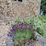 Stable At Le Prieure *